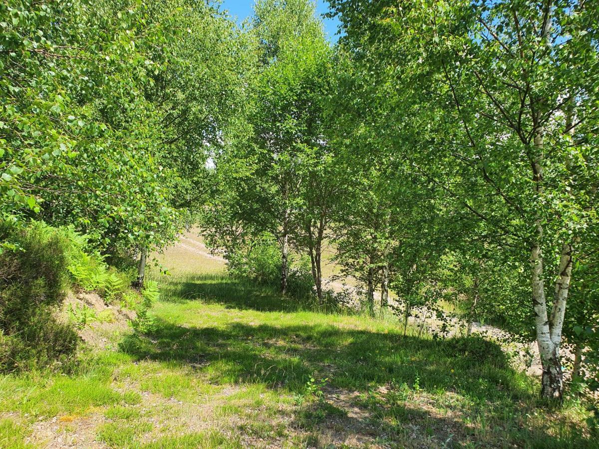 Svensson's Log *